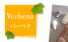 o[xi@VERBENA